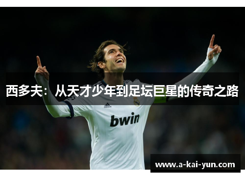 西多夫:从天才少年到足坛巨星的传奇之路 西多夫:从天才少年到足坛巨星的传奇之路