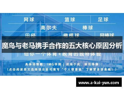 魔鸟与老马携手合作的五大核心原因分析 魔鸟与老马携手合作的五大核心原因分析