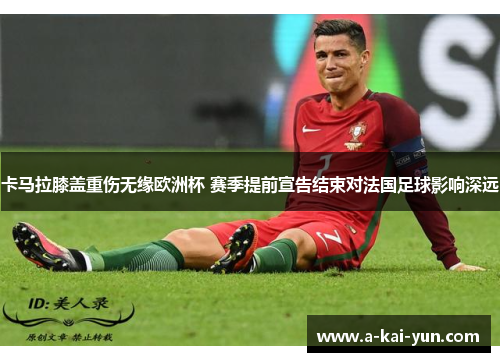 卡马拉膝盖重伤无缘欧洲杯 赛季提前宣告结束对法国足球影响深远 卡马拉膝盖重伤无缘欧洲杯 赛季提前宣告结束对法国足球影响深远