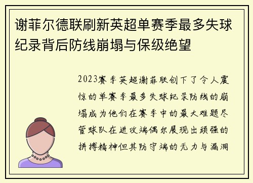 谢菲尔德联刷新英超单赛季最多失球纪录背后防线崩塌与保级绝望